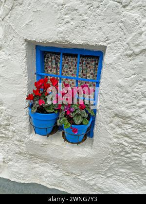 Deux pots de fleurs sur le rebord de la fenêtre d'une vieille maison Banque D'Images