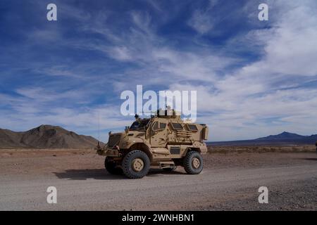 Les soldats de l'armée américaine de Delta Co, 1er bataillon, 114e régiment d'infanterie, 44e équipe de combat de la brigade d'infanterie, de la garde nationale de l'armée du New Jersey, effectuent un exercice de tir réel monté avec le soutien de l'hélicoptère Apache AH-64 du 1er 501 bataillon d'attaque et de reconnaissance, à Fort Bliss, Texas, le 25 février 2024. L'exercice faisait partie d'un exercice de tir réel combiné d'armes alors que le 44th IBCT se prépare pour le déploiement à l'appui de la Force opérationnelle interarmées combinée du Commandement central des États-Unis - opération Inherent Resolve. (Photo de la Garde nationale de l'armée américaine par le Capitaine Kyle Marr) Banque D'Images