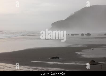 Une plage brumeuse avec un rivage rocheux. Le ciel est couvert et l'eau est agitée Banque D'Images