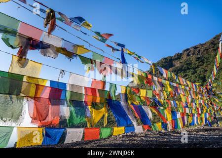 Drapeaux de prière tibétains flottant dans les contreforts de Dehradun, Uttarakhand, Inde Banque D'Images