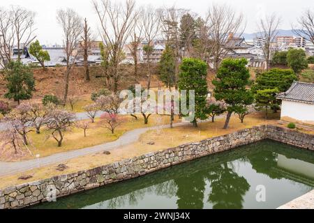 Fleurs de prunes en pleine floraison dans le jardin fleuri du château de Nijo. Kyoto, Japon. Banque D'Images