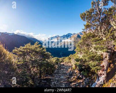 Aventure alpine : découverte des paysages de l'Avalanche Peak Track et de Scotts Track dans le parc national d'Arthur's Pass en Nouvelle-Zélande, vues spectaculaires avec Gree Banque D'Images