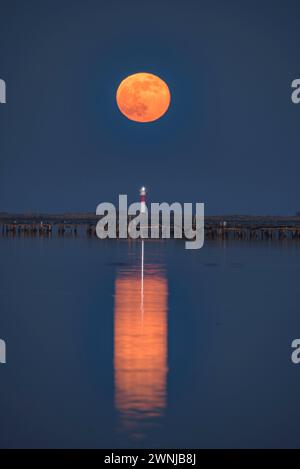 Lever la pleine lune au-dessus du phare de Fangar dans le delta de l'Èbre (Tarragone, Catalogne, Espagne) ESP : Salida de la Luna llena sobre el faro del Fangar Banque D'Images