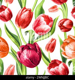 Tulipes rouges. Motif sans couture d'aquarelle dessiné à la main isolé sur fond blanc Banque D'Images