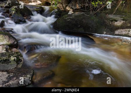 Cascade sur Dartmoor, Devon, Royaume-Uni Banque D'Images