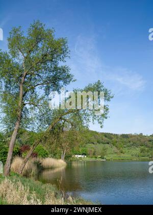 Lac de cratère appelé Schalkenmehrener Maar, l'Eifel, région volcanique de l'Eifel près de Daun, Allemagne Banque D'Images