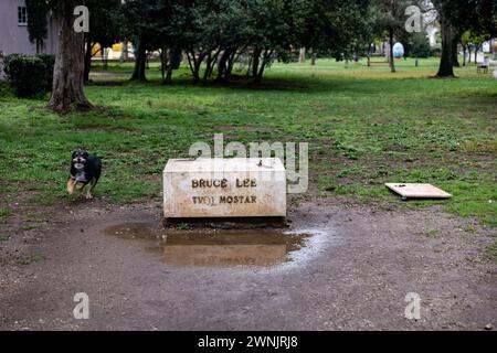 La statue de Bruce Lee a mystérieusement disparu du City Park Zrinjevac à Mostar, Bosnie-Herzégovine, le 3 mars 2024. Les autorités de la ville jusqu'à présent n'ont aucune connaissance de ce qu'advient de la sculpture. Une statue en bronze grandeur nature de Bruce Lee conçue par le sculpteur croate Ivan Fijolic a été dévoilée le 26 novembre 2005 dans le parc municipal de Zrinjski, à l'ouest de Mostar. Photo : Denis Kapetanovic/PIXSELL crédit : Pixsell/Alamy Live News Banque D'Images