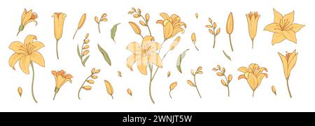 Ensemble de fleurs colorées de luxe et logo. Éléments botaniques tendance. La ligne dessinée à la main laisse des branches et fleurit. Mariage fleurs sauvages élégantes pour Illustration de Vecteur