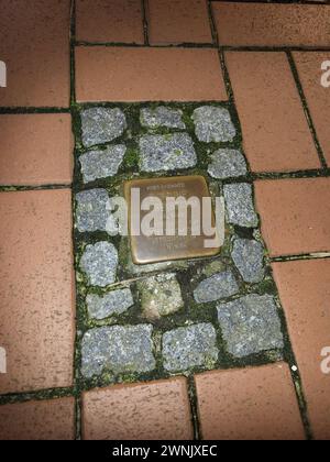 Stolperstein für Engeline Rosenstamm auf der ostfriesischen Nordseeinsel Norderney. Stolperstein *** pierre à trébucher pour Engeline Rosenstamm sur l'île de Norderney de la mer du Nord en Frise orientale Banque D'Images