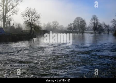 Avon Valley, Fordingbridge, Hampshire, Royaume-Uni, 3 mars 2024 : Météo. Tôt météorologique printemps matin gelée et brume. Le niveau d'eau de la rivière Avon reste très élevé après les pluies récentes. Crédit : Paul Biggins/Alamy Live News Banque D'Images