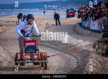 Heringsdorf, Allemagne. 02 mars 2024. L'acteur Lars Pape participe à la course de chiens de traîneau 'Baltic Lights' sur la plage de la mer Baltique sur l'île d'Usedom sans chiens. Pour collecter des dons pour World Hunger relief, des professionnels et des célébrités s’affrontent en équipes avec 500 huskies sur la plage. Environ 60 000 spectateurs sont attendus à l'événement caritatif de plusieurs jours le week-end. Crédit : Jens Büttner/dpa/Alamy Live News Banque D'Images