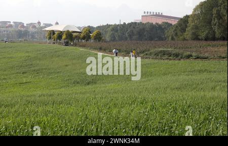 LAIBIN, CHINE - 2 MARS 2024 - les touristes visitent le Manoir de lavande dans la ville de Laibin, dans la région autonome du Guangxi Zhuang, dans le sud de la Chine, le 2 mars 2024. Banque D'Images