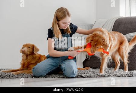 Fille joue avec deux Retrievers de la Nouvelle-Écosse à la maison sur le plancher avec Un jouet de canard, Retriever Toller de la Nouvelle-Écosse Banque D'Images