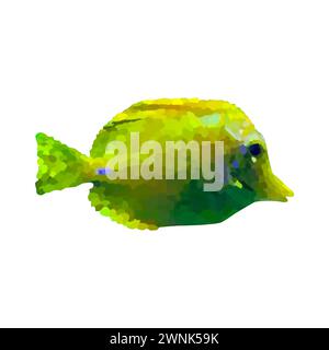 Illustration vectorielle poisson tropical sur fond blanc. Poissons d'aquarium sous-marin de mer tropicale. Yellow Tang Illustration de Vecteur