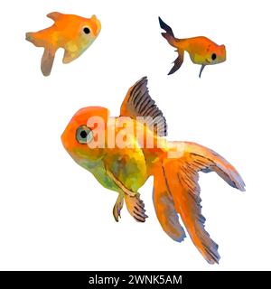 Illustration vectorielle poisson tropical sur fond blanc. Poissons d'aquarium sous-marin de mer tropicale. Poisson doré Illustration de Vecteur