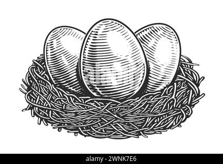 Oeufs de poule dans le nid. Produits agricoles biologiques. Illustration vectorielle vintage dessinée à la main Illustration de Vecteur
