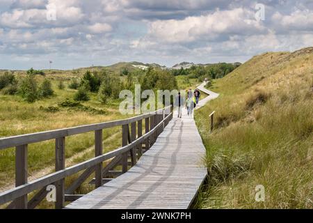 Les gens marchent sur la promenade dans les dunes de Wittdun sur l'île d'Amrum, Frise du Nord, Schleswig-Holstein, Allemagne Banque D'Images