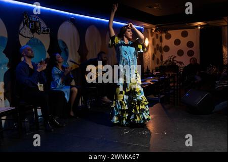 Un spectacle de danse et de musique flamenco dans l'un des clubs de flamenco de Cordoue en Andalousie, dans le sud de l'Espagne. C'est l'un des spectacles incontournables pour visi Banque D'Images