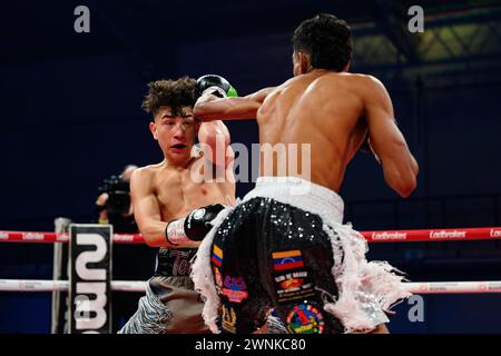 LONDRES, ROYAUME-UNI. 01 mars 2024. Tom Welland vs Esteban - combat poids plume lors du Wasserman Show Baraou vs Eggington à Telford International Banque D'Images