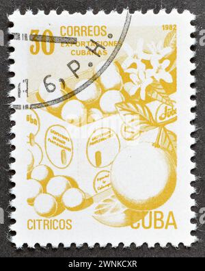 Timbre-poste oblitéré imprimé par Cuba, qui montre des agrumes, vers 1982. Banque D'Images