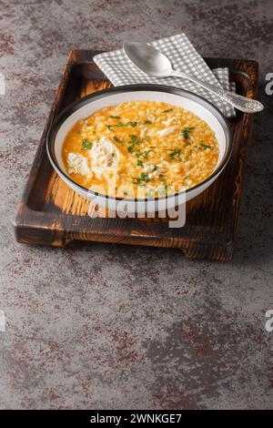 Soupe italienne aux pastina avec poulet, légumes et fromage gros plan dans un bol sur une planche de bois. Vertical Banque D'Images