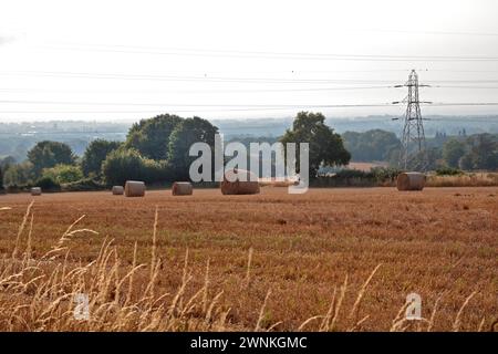 Balles de foin en champ, Coedpoeth, Wrexham, pays de Galles Banque D'Images