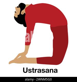 Illustration vectorielle de pose de yoga ustrasana Illustration de Vecteur