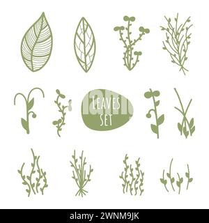Ensemble de feuilles et de tiges vertes isolées sur fond blanc. Feuilles vintage pour le printemps et l'été Illustration de Vecteur