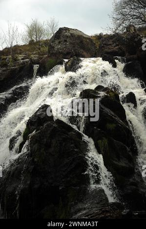 Rhaeadr Lliw, Afon Lliw, près de Trawsfynydd. Banque D'Images