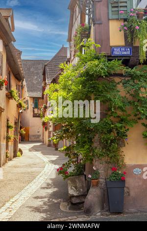 Eguisheim, village alsacien caractéristique, France, Europe Banque D'Images