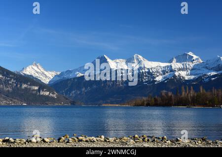 Thunersee Lake Thun dans Switserland Banque D'Images