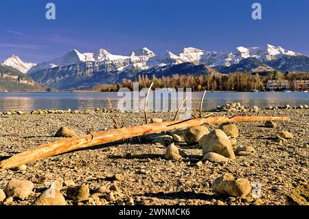 Thunersee Lake Thun dans Switserland Banque D'Images