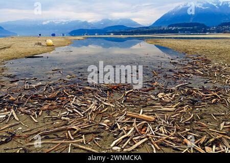 Thunersee Lake Thun dans Switserland Banque D'Images