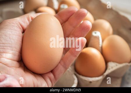 Oeuf de poule géant à la main. Grande taille d'oeuf brun. Oeufs jaunes frais à la lumière du soleil. Aliments biologiques sains. Oeufs bruns crus dans le récipient. Produits agricoles. Banque D'Images