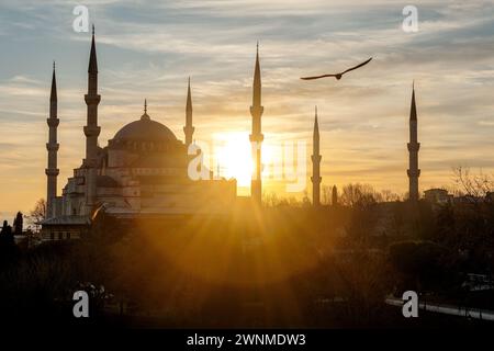 Coucher de soleil sur la Mosquée bleue ou la Mosquée Sultanahmet avec mouettes à Istanbul, Turquie. Banque D'Images