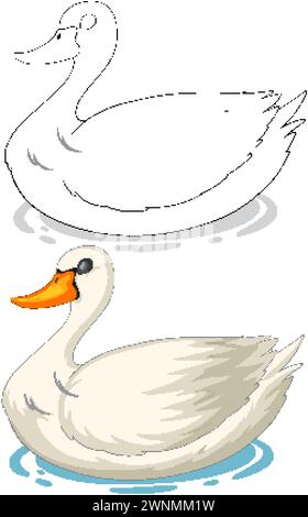 Art vectoriel d'un cygne, versions esquissées et colorées. Illustration de Vecteur