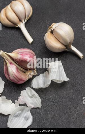 Tête de gousse d'ail. Aliments naturels de la ferme. Produits pour immunité. Fond noir. Vue de dessus Banque D'Images