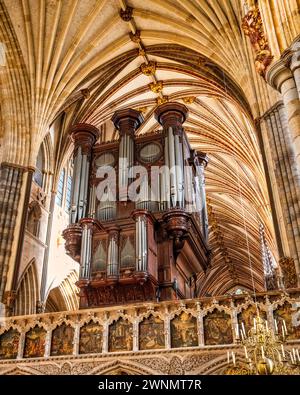 L'orgue de la cathédrale d'Exeter se dresse sur un écran médiéval orné qui sépare la quire et la nef. Exeter, Devon, Angleterre, Royaume-Uni, Europe. Banque D'Images