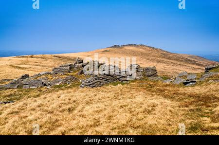 Vue le long de Belstone Ridge depuis Oke Tor, au premier plan, vers Higher Tor et Belstone Tor, Dartmoor National Park, Devon, Angleterre, Royaume-Uni. Banque D'Images