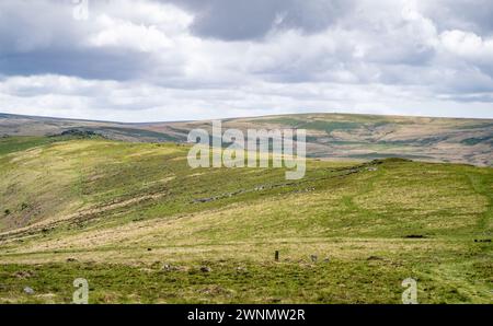 Vue vers le sud depuis Higher Tor, montrant le chemin le long de Belstone Ridge menant à Oke Tor. Parc national de Dartmoor, Devon, Angleterre, Royaume-Uni. Banque D'Images