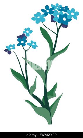 Herbe aux yeux bleus, botanique de végétation de fleurs sauvages Illustration de Vecteur