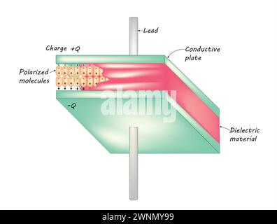 diagramme de condensateur à plaques parallèles Illustration de Vecteur