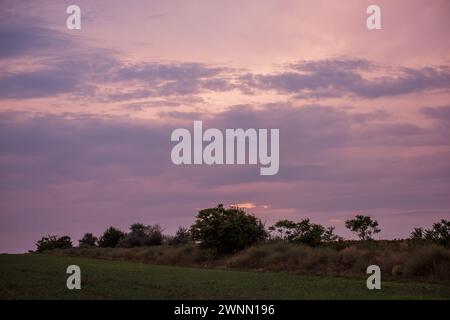 Scène tranquille d'un champ sous un ciel rose doux au crépuscule, capturant la fin de la journée sereine. Des teintes roses douces ornent le ciel au-dessus d'un paysage rural tranquille Banque D'Images