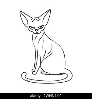 Elément de couleur chat sphinx assis. Animal mignon de dessin animé. Illustration vectorielle de dessin à la main isolée. Illustration de Vecteur