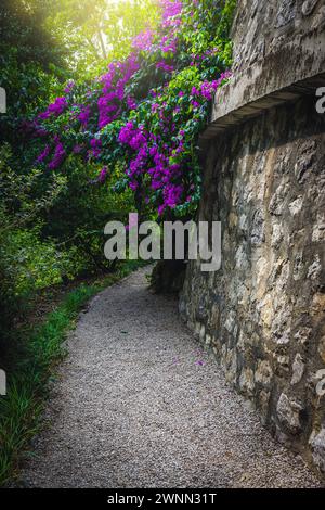 Confortable beau chemin de gravier entre les plantes méditerranéennes et les fleurs dans le jardin botanique, Menton, Provence Alpes Cote d Azur, France, Europe Banque D'Images