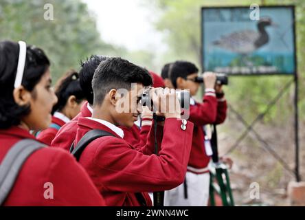 Noida, Inde. 03 mars 2024. NOIDA, INDE - 3 MARS : étudiant au Sanctuaire ornithologique d'Okhla à l'occasion de la Journée mondiale de la faune, le 3 mars 2024 à Noida, Inde. (Photo de Sunil Ghosh/Hindustan Times/Sipa USA ) crédit : Sipa USA/Alamy Live News Banque D'Images