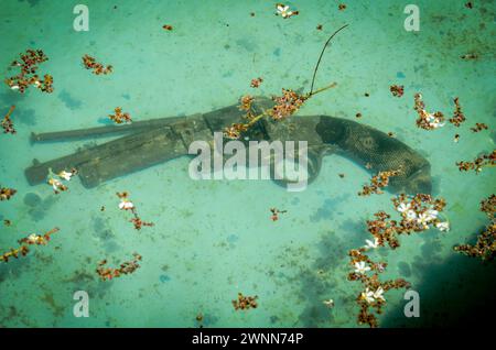 Vieille arme de poing antique submergée dans l'eau bleu sarcelle avec de petites fleurs blanches tombées reposant sur le dessus. Banque D'Images