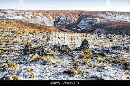 Vue de la vallée de la rivière Tavy, 'Tavy Cleave', vue de près de Ger Tor, parc national de Dartmoor, Devon, Angleterre, Royaume-Uni. Banque D'Images