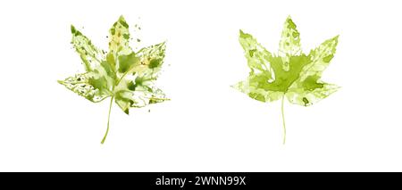 Deux feuilles d'érable vertes. Empreintes de feuilles. Feuilles avec des éclaboussures d'aquarelle, des taches. Plante forestière, bois. Illustration florale. Banque D'Images