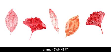 Ensemble de feuilles roses rouges d'automne. Empreintes de feuilles abstraites. Feuilles sèches d'automne. Illustration aquarelle de silhouettes de feuilles colorées Banque D'Images